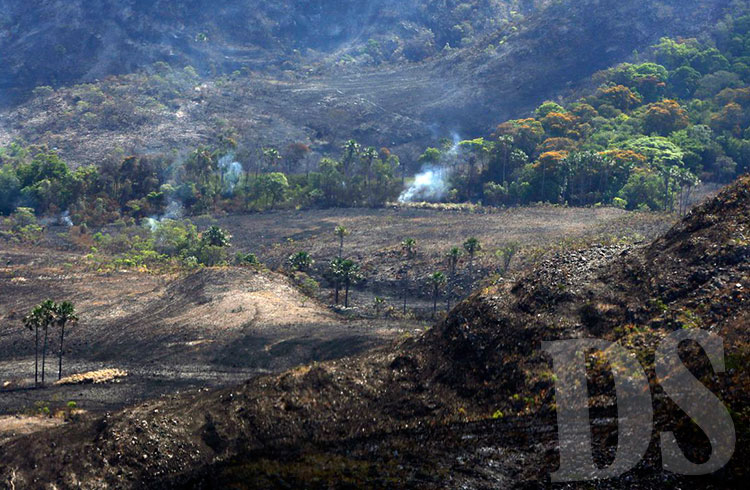 Desmatamento do Cerrado diminuiu 11%