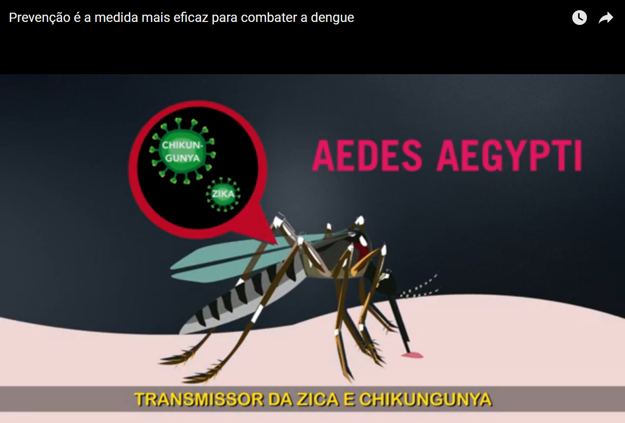 Vídeo mostra que a prevenção é a medida mais eficaz para combater a dengue