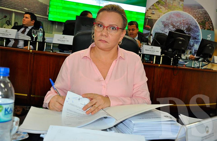 Vereadora Sandra Garcia 